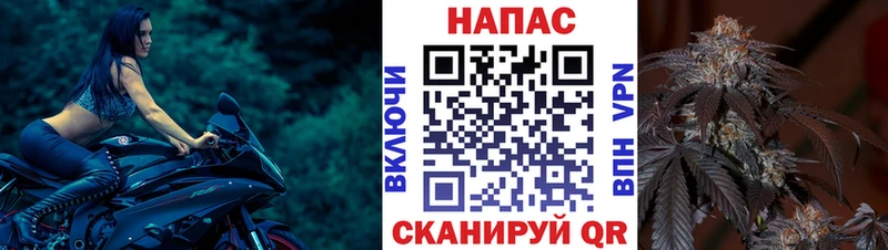 Каннабис планчик  Мончегорск 